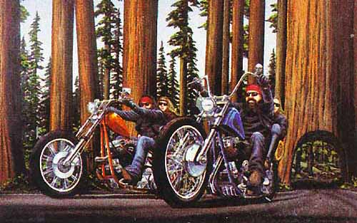 Redwoods by David Mann